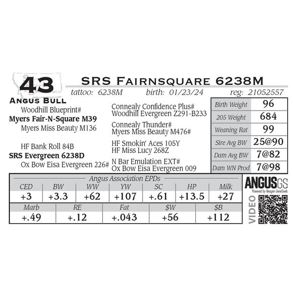 SRS Fairnsquare 6238M