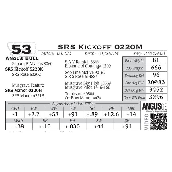 SRS Kickoff 0220M