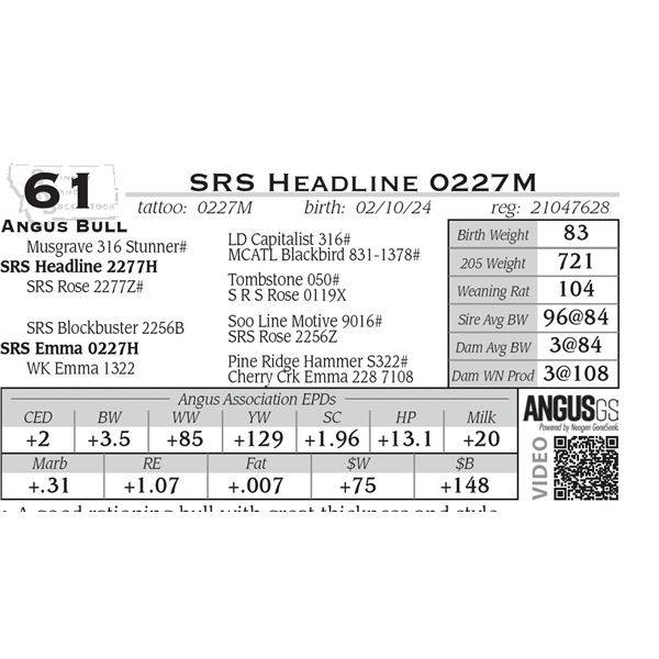 SRS Headline 0227M