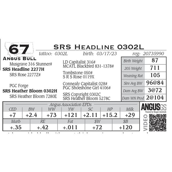 SRS Headline 0302L