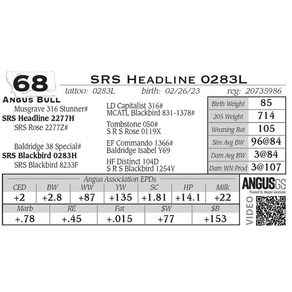 SRS Headline 0283L