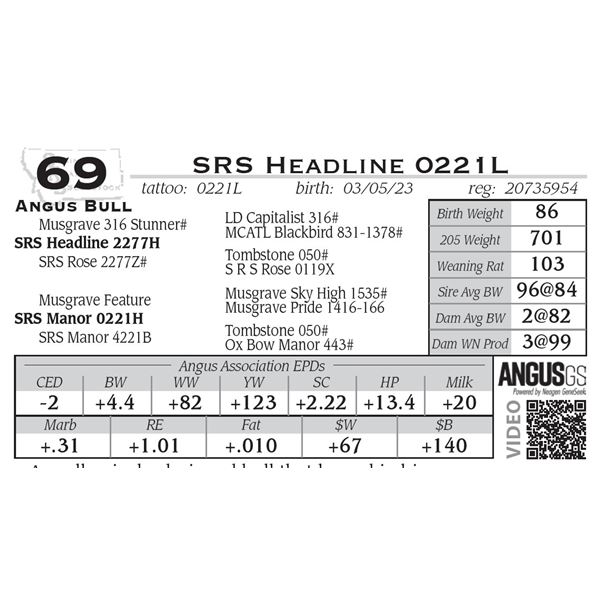 SRS Headline 0221L