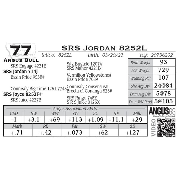 SRS Jordan 8252L