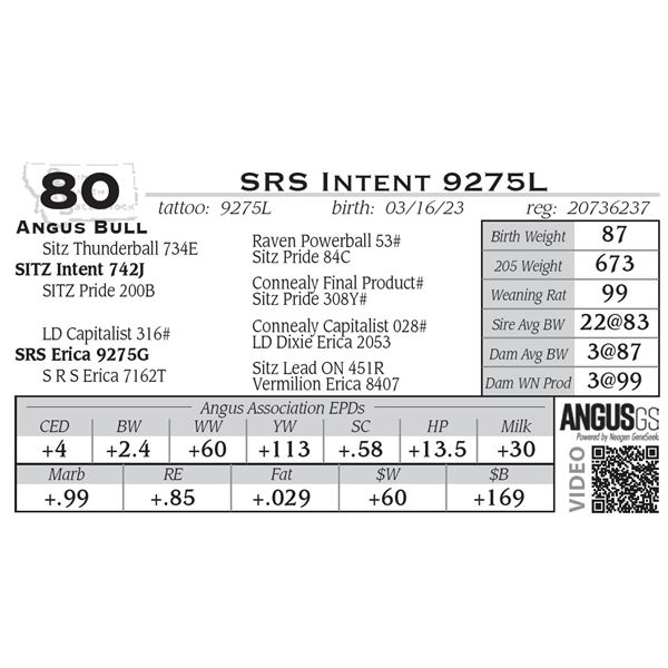 SRS Intent 9275L