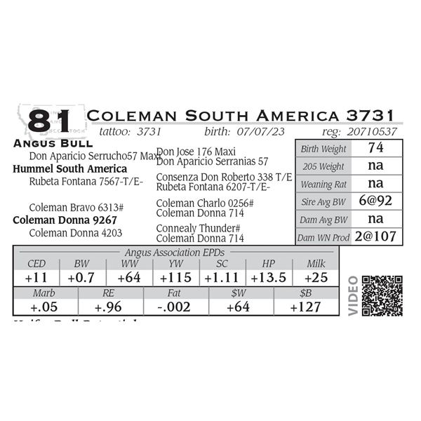 Coleman South America 3731