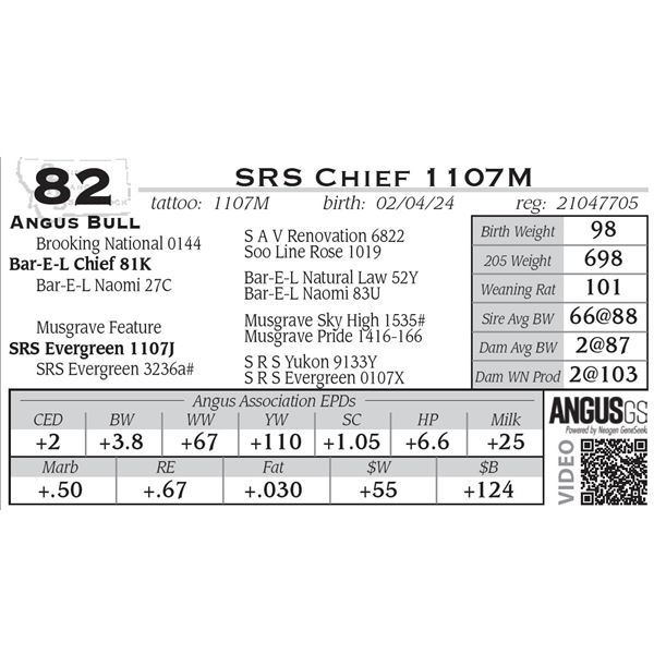 SRS Chief 1107M