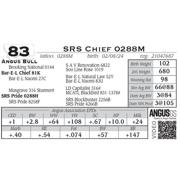 SRS Chief 0288M