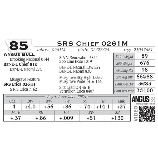 SRS Chief 0261M