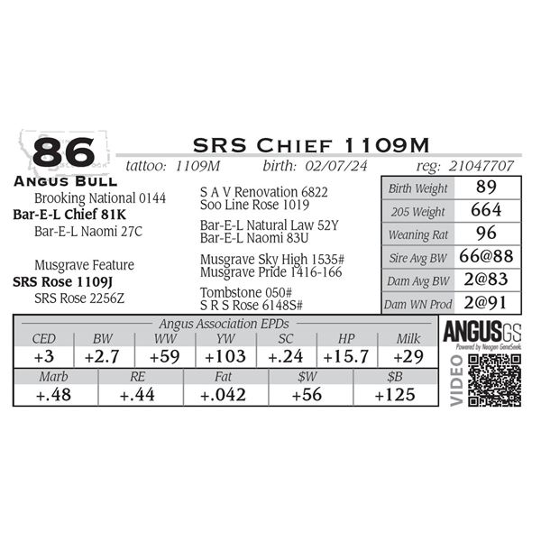 SRS Chief 1109M