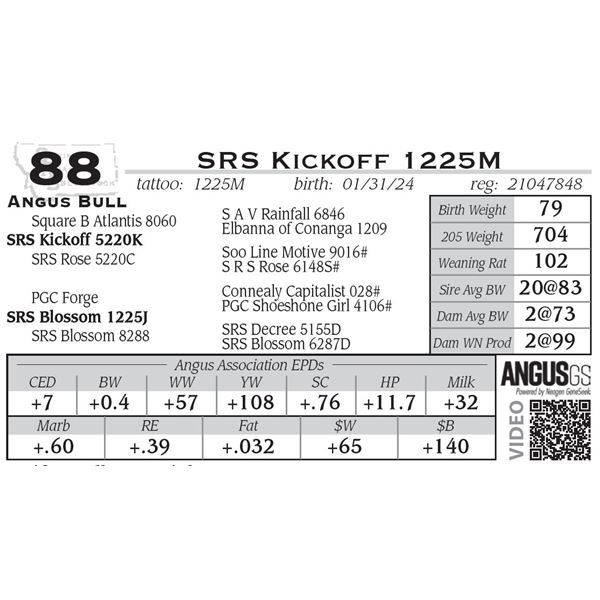 SRS Kickoff 1225M