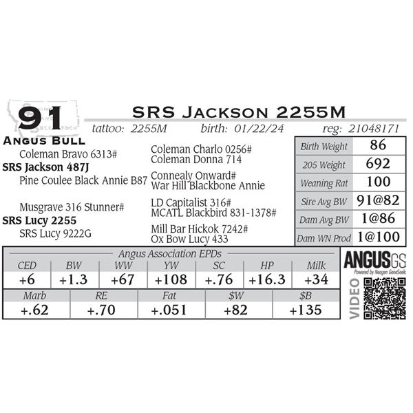 SRS Jackson 2241M