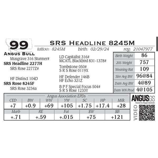 SRS Headline 8245M
