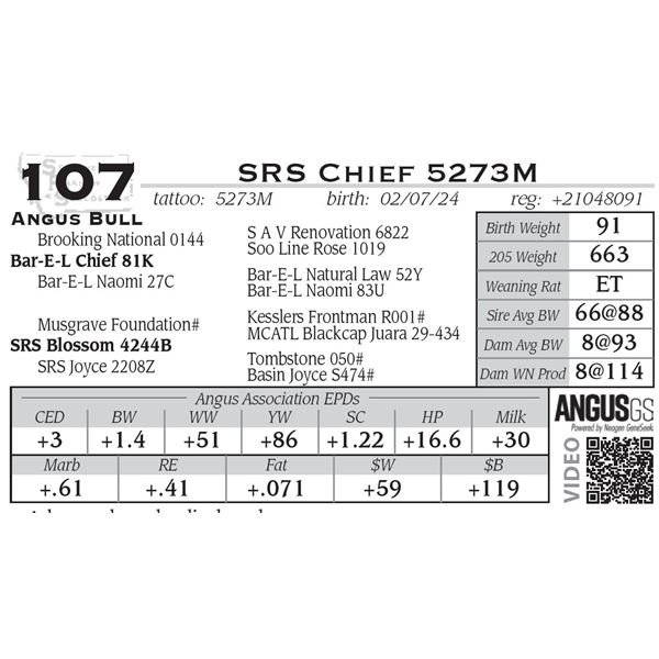 SRS Chief 5273M