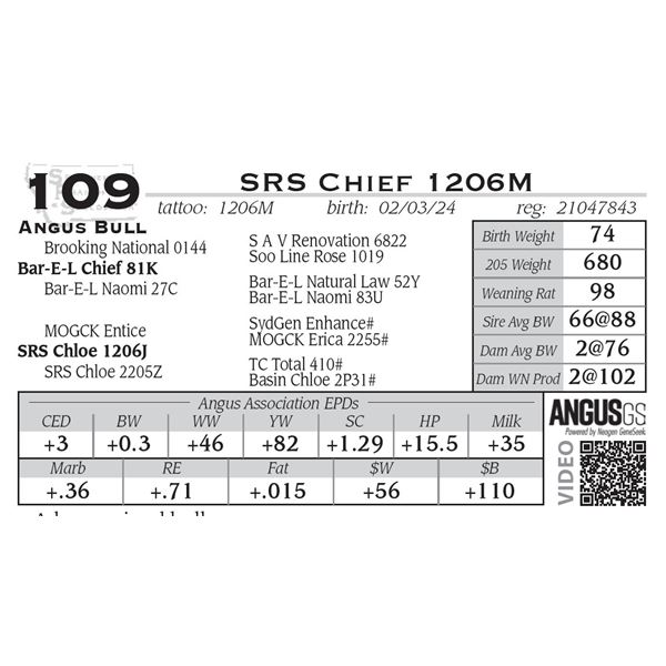 SRS Chief 1206M