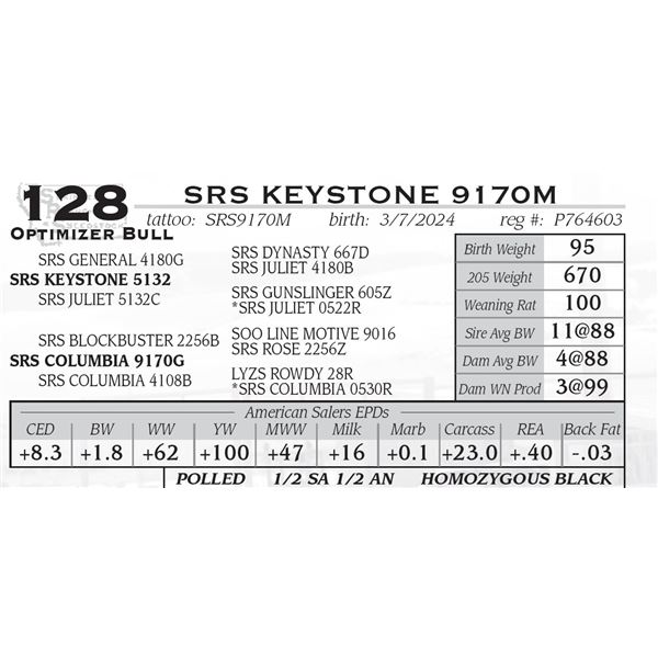 SRS KEYSTONE 9170M