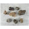 Image 1 : Collection Of Crystal Mineral Fossil Specimens