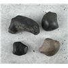 Image 2 : Whale Ear Bones Fossil Specimens