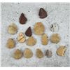 Image 1 : Native American Indian Arrowheads