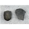 Image 2 : Elrathia Acastoides Fossil Trilobites
