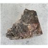 Image 2 : Arizona Rainbow Petrified Wood Specimen