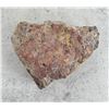 Image 3 : Arizona Rainbow Petrified Wood Specimen
