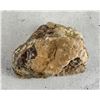 Image 2 : Arizona Rainbow Petrified Wood Lapidary Material