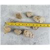 Image 2 : Group Of Pumice Stones