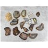 Image 2 : Group of Montana Agate Lapidary Slabs