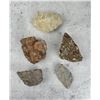 Image 1 : Fossil & Mineral Specimens Lapidary Material