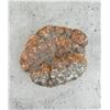 Image 1 : Large Carnelian Nodule Lapidary Material