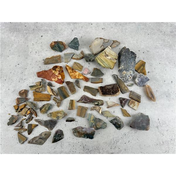 Group Of Petrified Wood Lapidary Material
