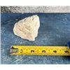 Image 4 : White Opalized Petrified Wood Specimen