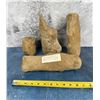 Image 6 : Sand Cast Camel Bone Fossils Ringold Washington