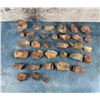 Image 1 : Arizona Rainbow Petrified Wood