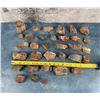 Image 2 : Arizona Rainbow Petrified Wood