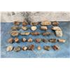 Image 1 : Arizona Rainbow Petrified Wood