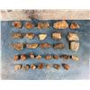 Image 2 : Arizona Rainbow Petrified Wood