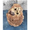 Image 1 : Huge 31lb Geode