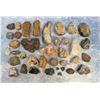 Image 1 : Collection Of Mineral Specimens