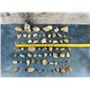 Image 2 : Collection Of Opalized Petrified Wood