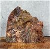 Image 1 : Arizona Rainbow Petrified Wood Lapidary Material