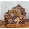 Image 2 : Arizona Rainbow Petrified Wood Lapidary Material