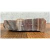 Image 3 : Arizona Rainbow Petrified Wood Lapidary Material