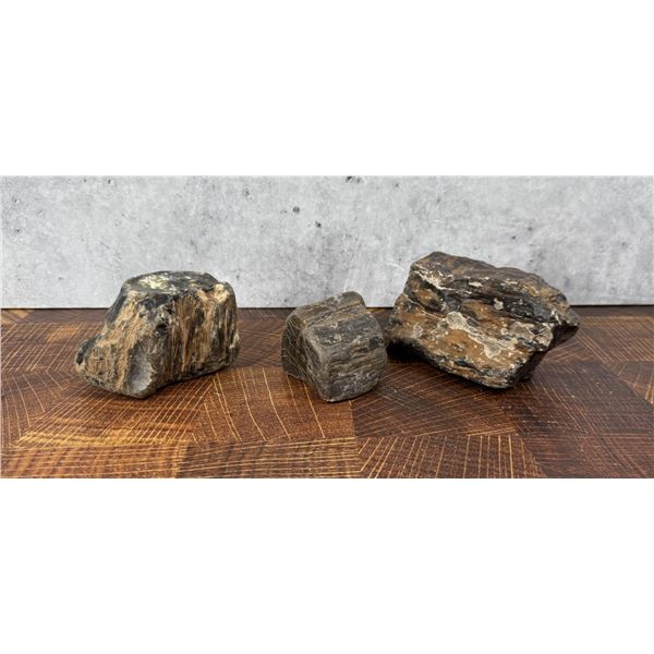 Montana Petrified Wood Lapidary Material