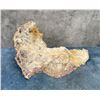 Image 2 : Lace Agate Lapidary Slabbing Material