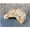 Image 5 : Lace Agate Lapidary Slabbing Material