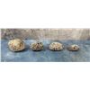 Image 2 : Basaltic Lava Stone Mineral Specimens