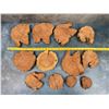 Image 2 : Group Of Live Edge Wood Slices Cookies