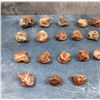 Image 2 : Collection Of Agate Lapidary Material