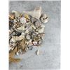 Image 3 : Collection of Seashells